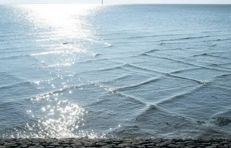 Square Waves Are Real — and You Should Be Cautious When You See Them