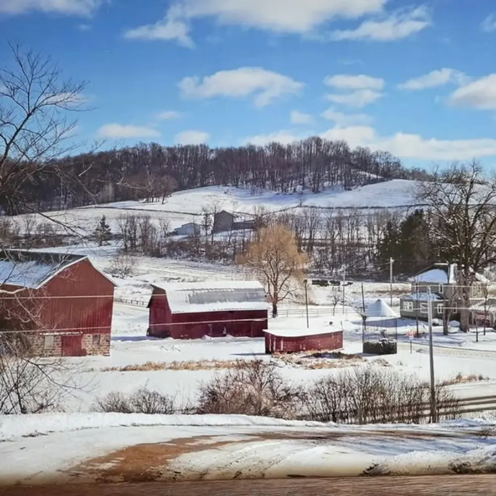 Saying Goodbye to Our Family Farm: A Heartfelt Farewell to a Legacy