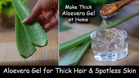 Homemade Aloevera Gel – How to Make Aloe Vera Gel at Home