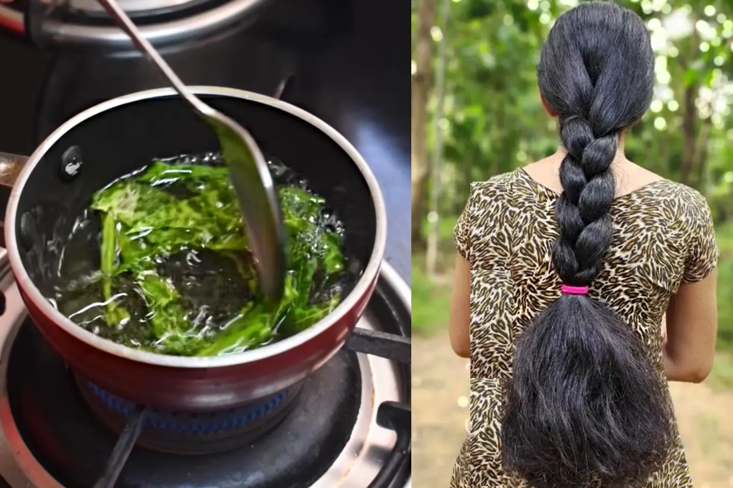DIY Aloevera Oil for Hair Growth – Get Thick Hair