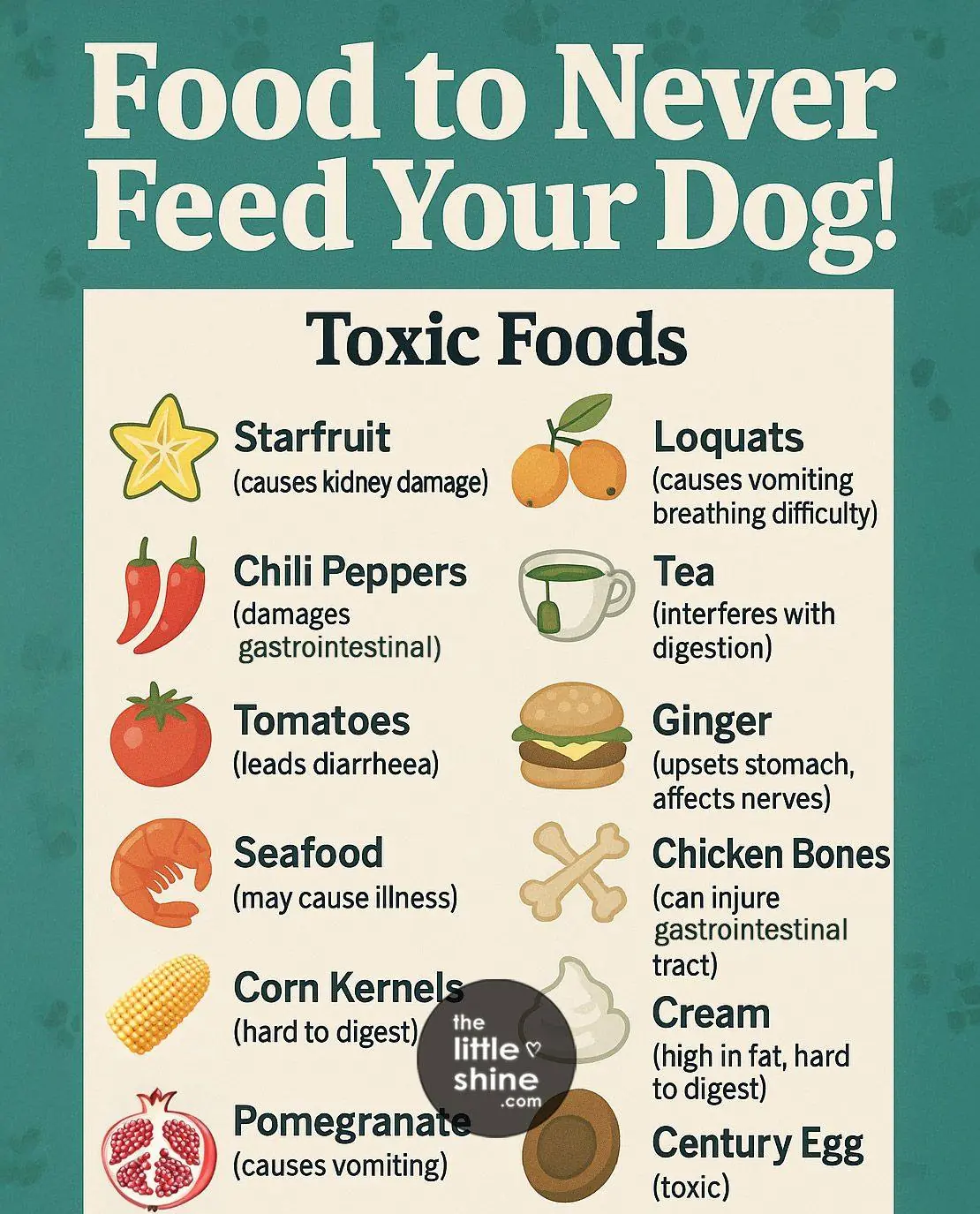 What Can Dogs Eat? | Good Foods, Toxic Foods, Foods to Avoid