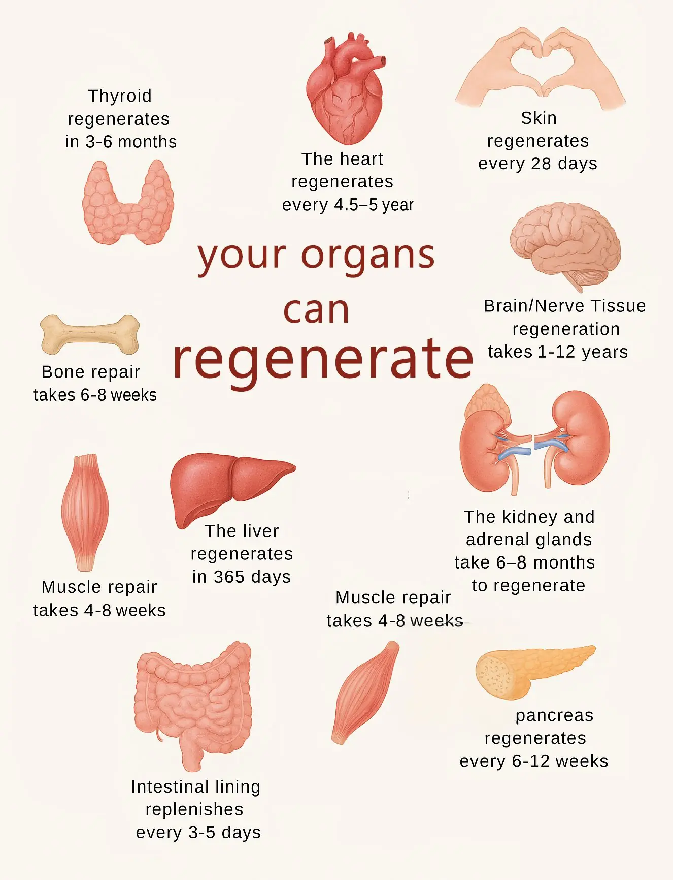 Best Foods for Every Body Part