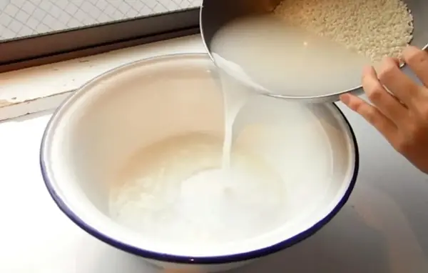 Homemade Rice Water: A Natural Remedy for Glowing and Healthy Skin