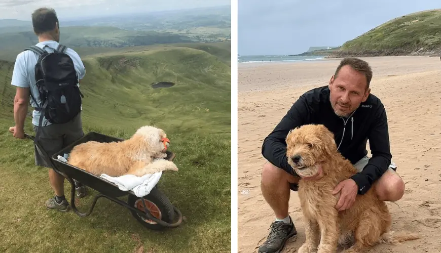 A Final Journey with Monty: The Heartfelt Story of a Man’s Unbreakable Bond with His Dog