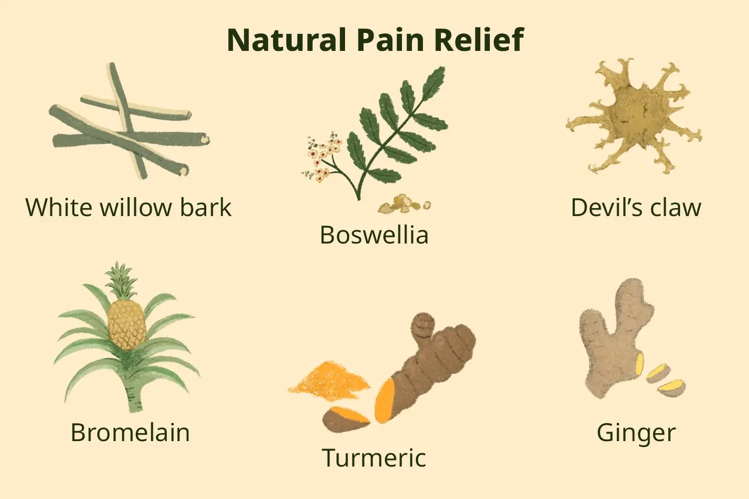 Best Natural Pain K!llers