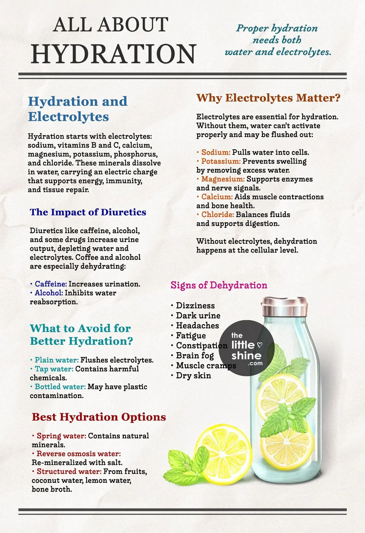 10 Ways to Make Water More Healthy and Flavourful