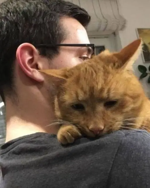 My Cat’s Clinginess Taught Me the Importance of Boundaries and What I Had to Learn About Love