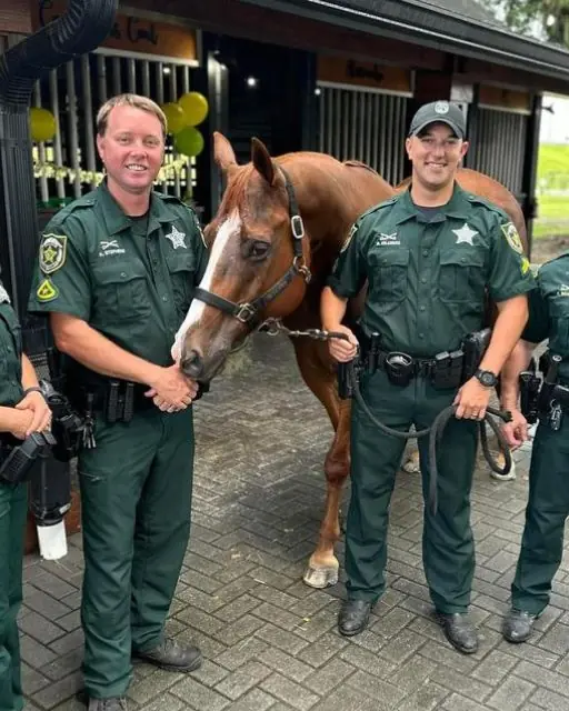 The Day My Horse Recognized an Officer And What Happened Next Was Unbelievable