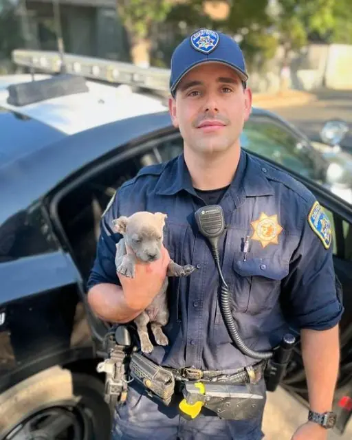 I Found a Tiny Puppy on the Street And It Changed My Life Forever