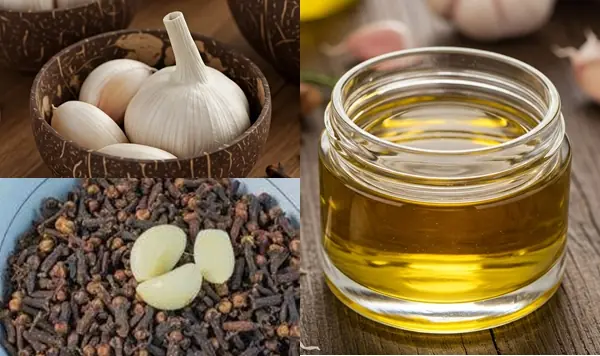 Reverse White Hair Naturally with Just Two Ingredients: Garlic and Clove