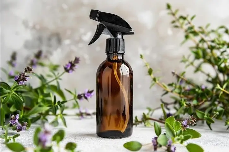 Natural DIY Bug Repellents for a Pest-Free Home