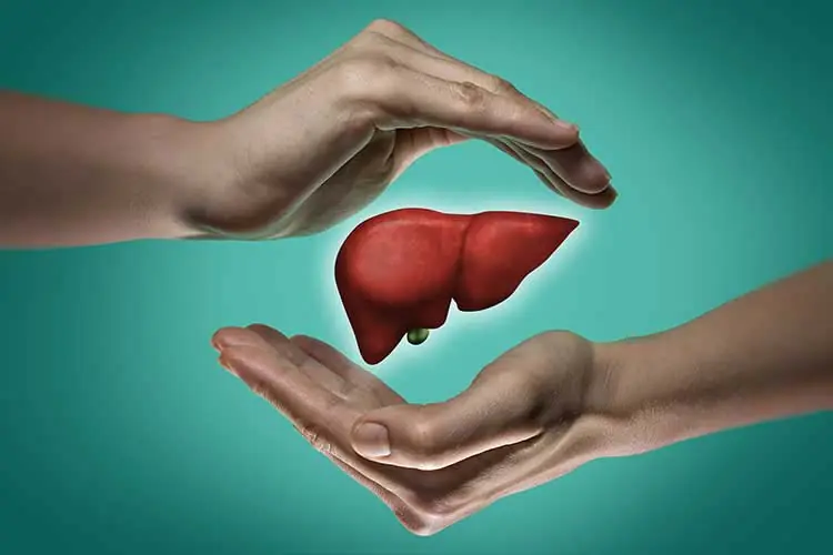 The 10 Best Herbs for Liver Health: Benefits and Precautions