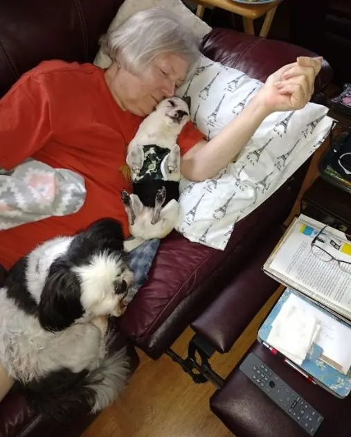 The Dog Refused to Move from Her Che$t Until I Noticed the Empty Pill Bottle