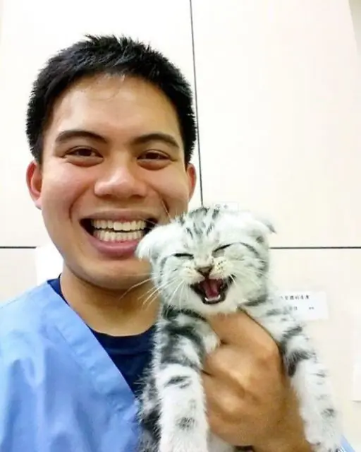 This Kitten Flatlined on the Table Then a Miracle Happened That I Can’t Explain