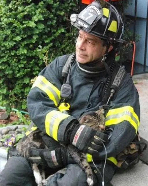I Pulled a Cat From the Fire But What I Found in Its Collar Stopped Me Cold