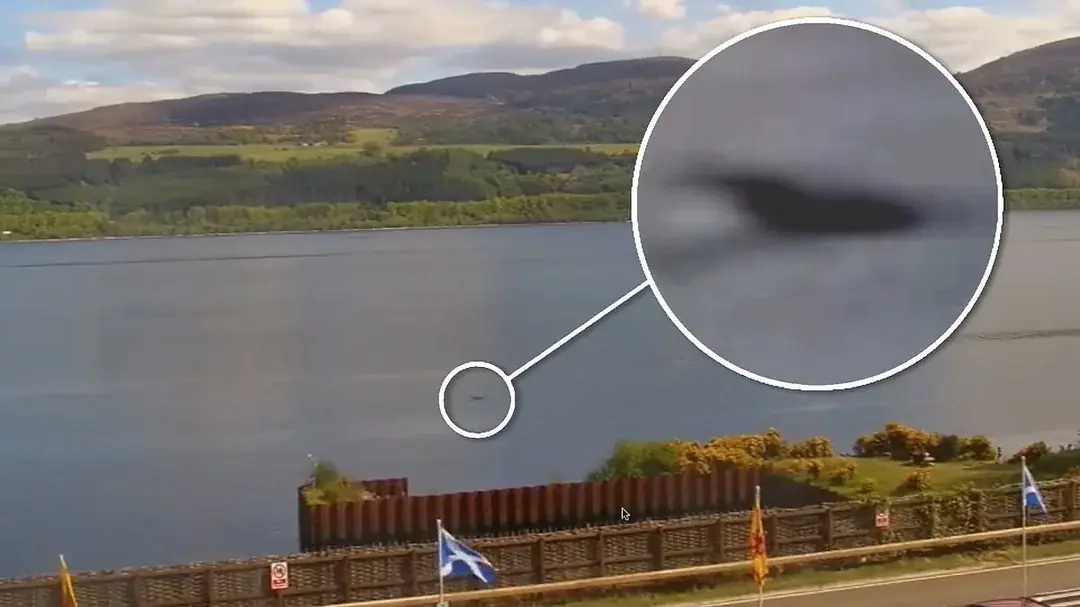 Baby Nessie: mysterious creature washes ashore in the UK, reigniting fascination with legendary Loch Ness M0nster