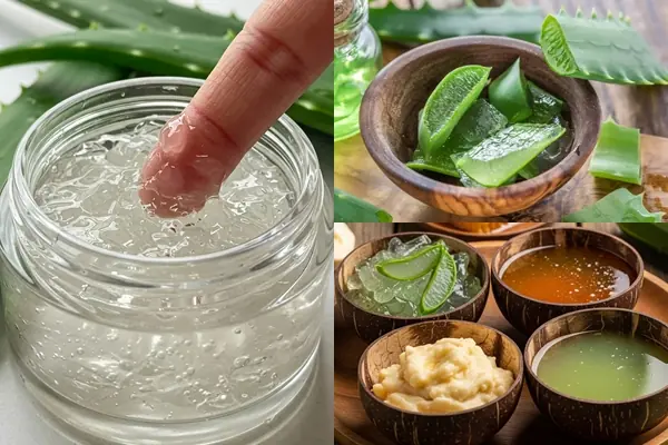 How to Use Aloe Vera for Beautiful Skin: 8 DIY Masks and Remedies to Transform Your Complexion Naturally