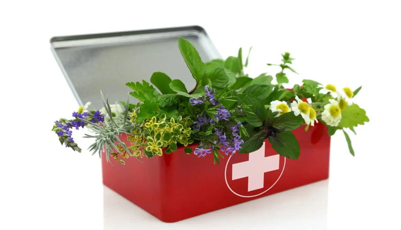 An Herbalist’s Essential Summer First Aid Kit: Natural Remedies for Common Ailments