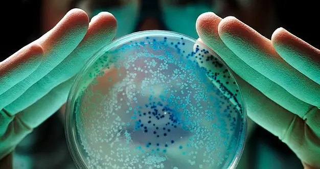 Groundbreaking discovery: Scientists detect a new bacteria species that has NEVER been seen on Earth inside China’s Tiangong Space Station