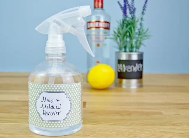 3 Highly Effective Natural Mould Removers: Safe and Powerful Alternatives to Bleach