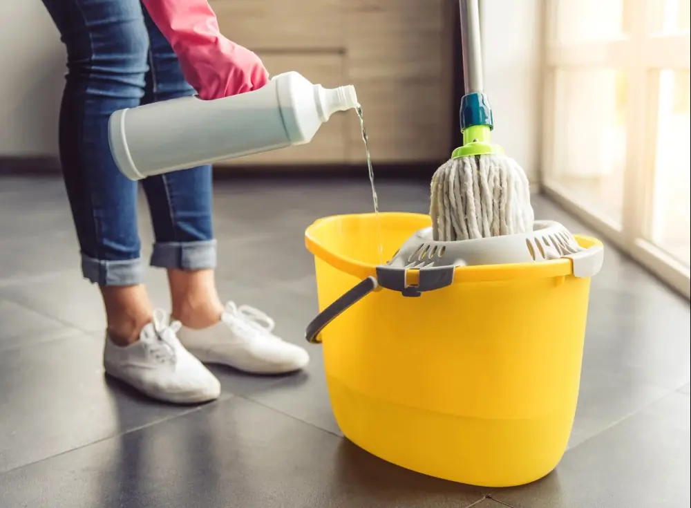 How Often Should You Clean Everything? The Ultimate Guide to Household and Personal Item Care