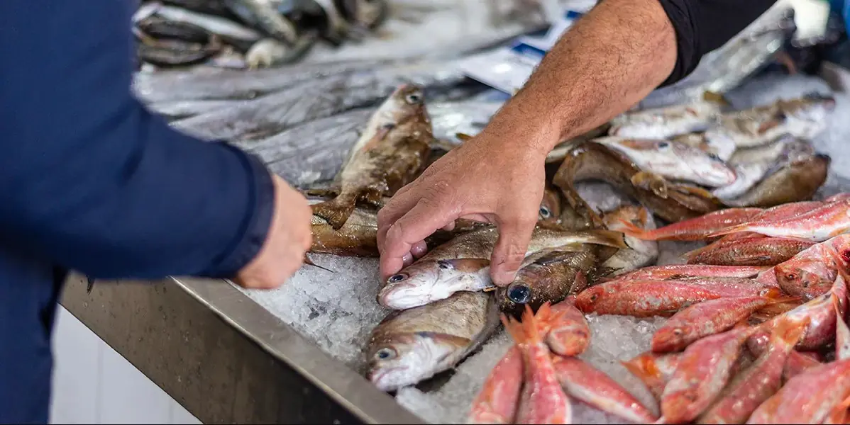 The Ultimate Fish Buying Guide: Choose, Cook, and Substitute Like a Pro