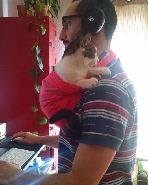 Why My Husband Can’t Do a Single Thing Without Our Cat and What It Really Means