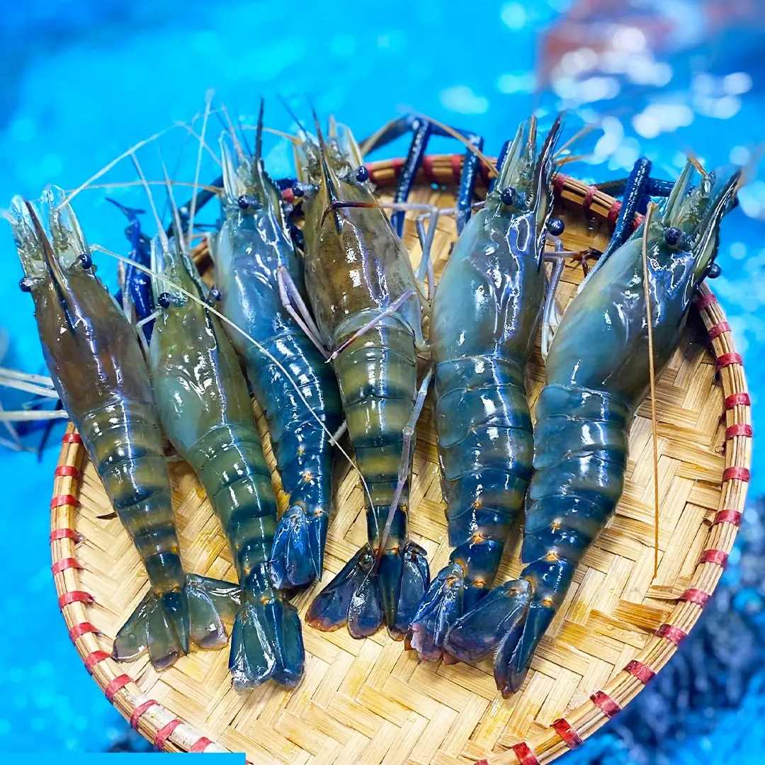 4 Types of Shrimp to Avoid When Shopping — Why Cheap Shrimp Can Cost You More