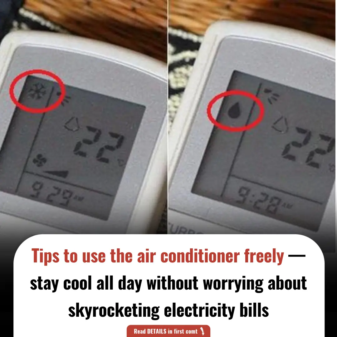 Tips to use the air conditioner freely — stay cool all day without worrying about skyrocketing electricity bills