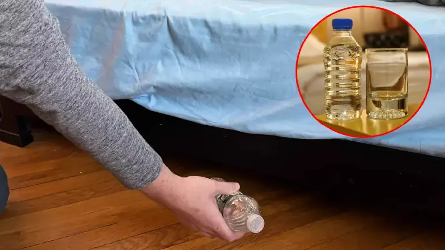 Why Do People Throw Water Bottles Under Hotel Beds? The Hidden Reasons Behind This Common Habit