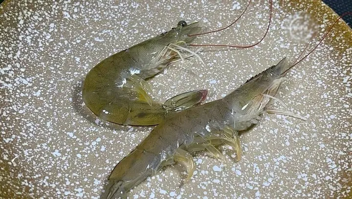Should you buy straight shrimp or curved shrimp at the market? I just learned today that there's such a big difference