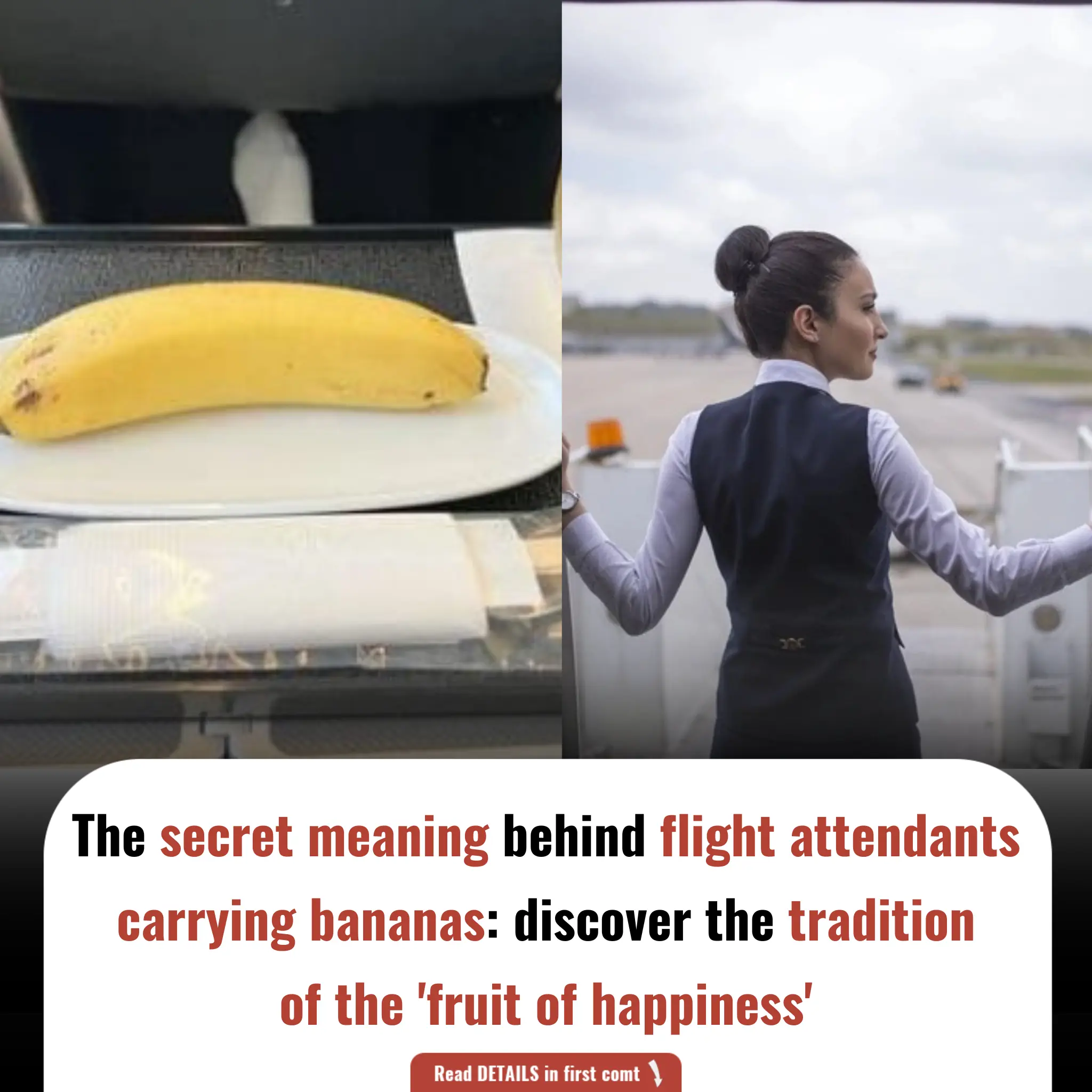 Why flight attendants never carry a single banana on board: the surprising story behind the 'fruit of happiness'