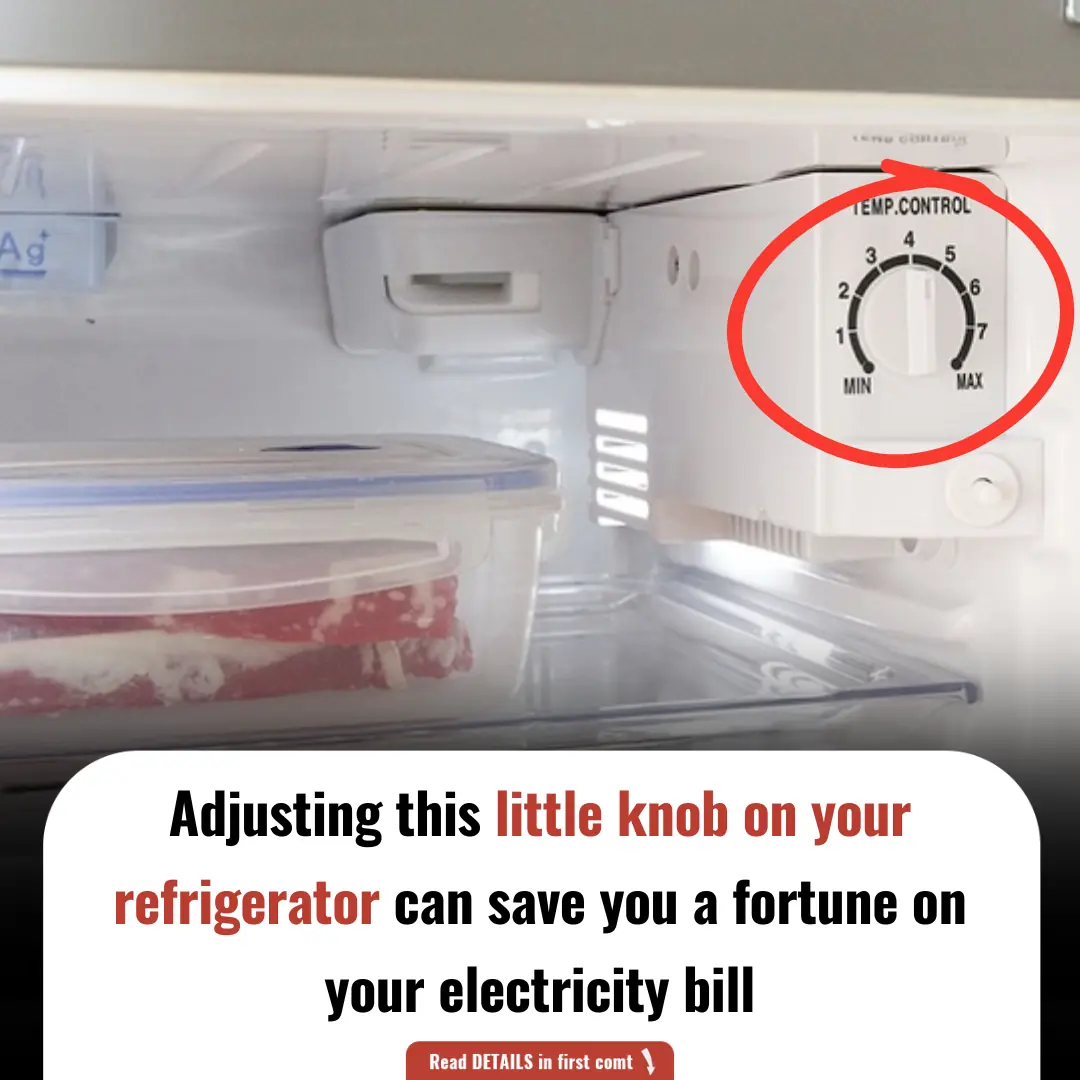Adjusting this little knob on your refrigerator can save you a fortune on your electricity bill
