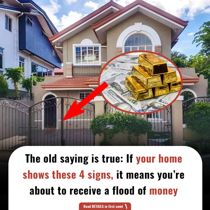 Ancient Wisdom Proves True: 4 Signs at Home Indicating You're About to Receive Unexpected Wealt