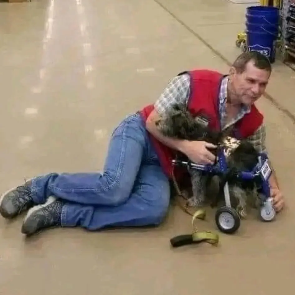 A HEARTWARMING ACT OF KINDNESS AT LOWE’S: HOW ANDY HELPED A RESCUE DOG FIND HIS WHEELS AND OUR HEARTS