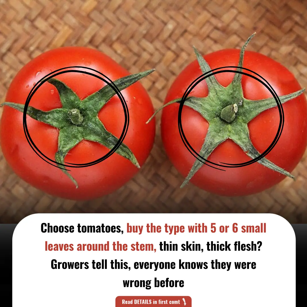 Choose tomatoes, buy the type with 5 or 6 small leaves around the stem, thin skin, thick flesh? Growers tell this, everyone knows they were wrong before