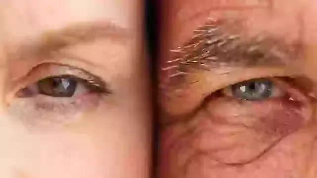 The Surprising Ages When Aging Speeds Up – What Scientists Have Discovered