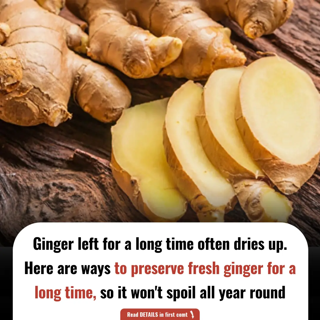 Ginger left for a long time often dries up. Here are ways to preserve fresh ginger for a long time, so it won't spoil all year round.