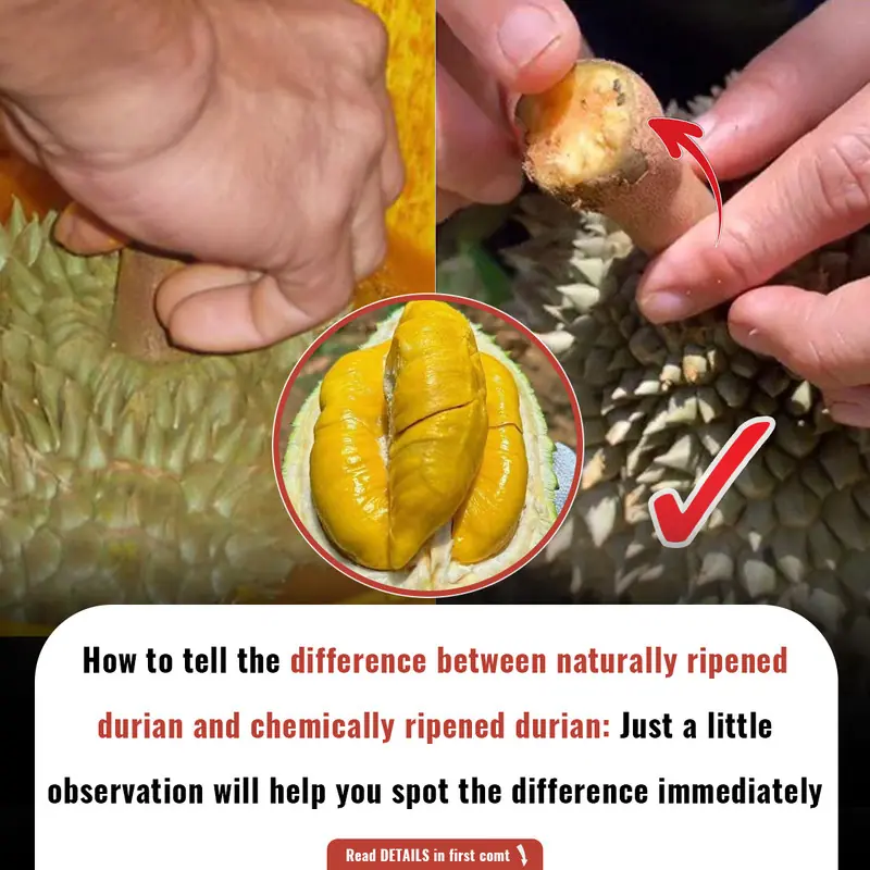 How to Tell the Difference Between Naturally Ripened Durian and Chemical-Ripened Ones