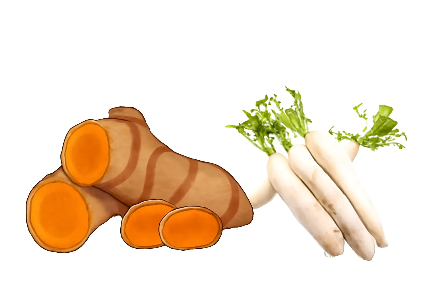4 Vegetables Beneficial for Liver Health: Naturally Supportive in Lowering Liver Enzyme Levels