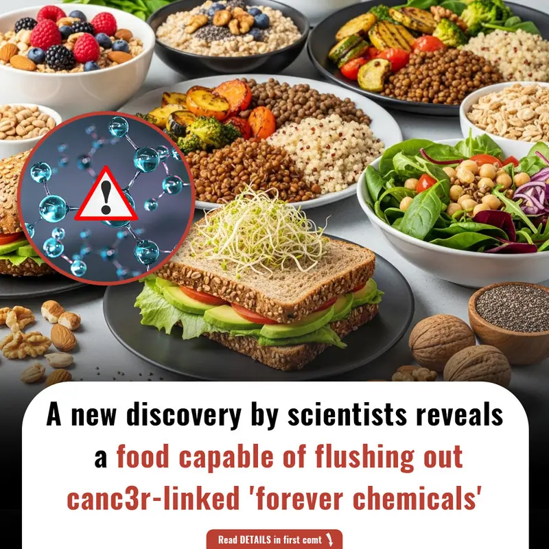 Fiber May Help Flush Out T0xic ‘Forever Chemicals,’ New Study Suggests