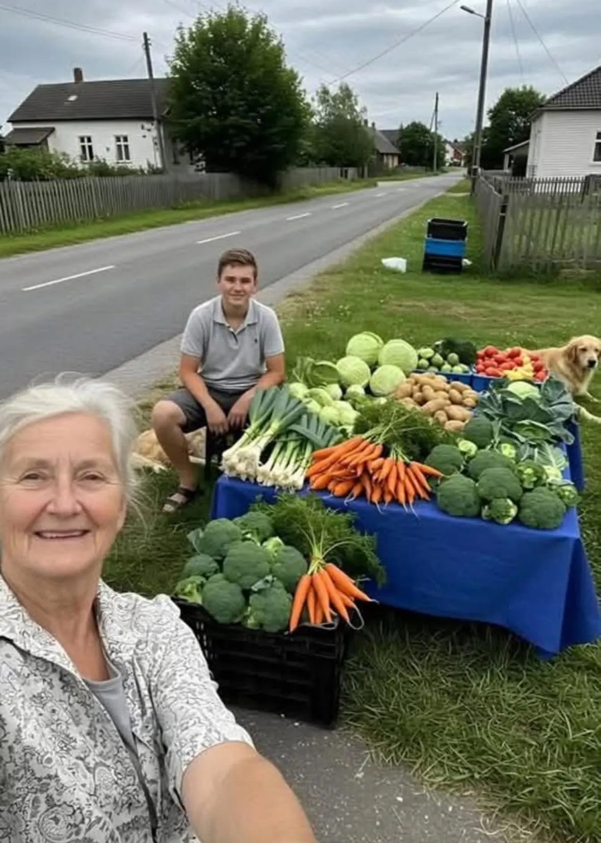 From Struggle to Success: A Grandmother and Grandson’s Roadside Vegetable Stand Story