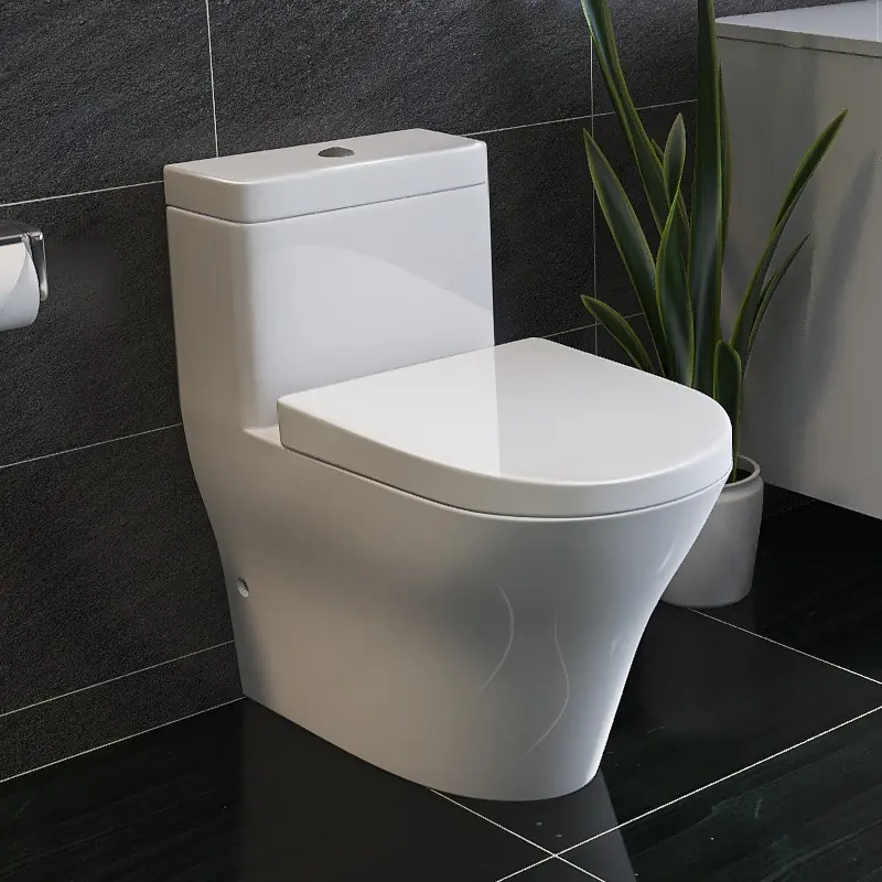 Unexpected Sources: Why Commonly Clean Items Might Harbor More Bacteria Than You Think