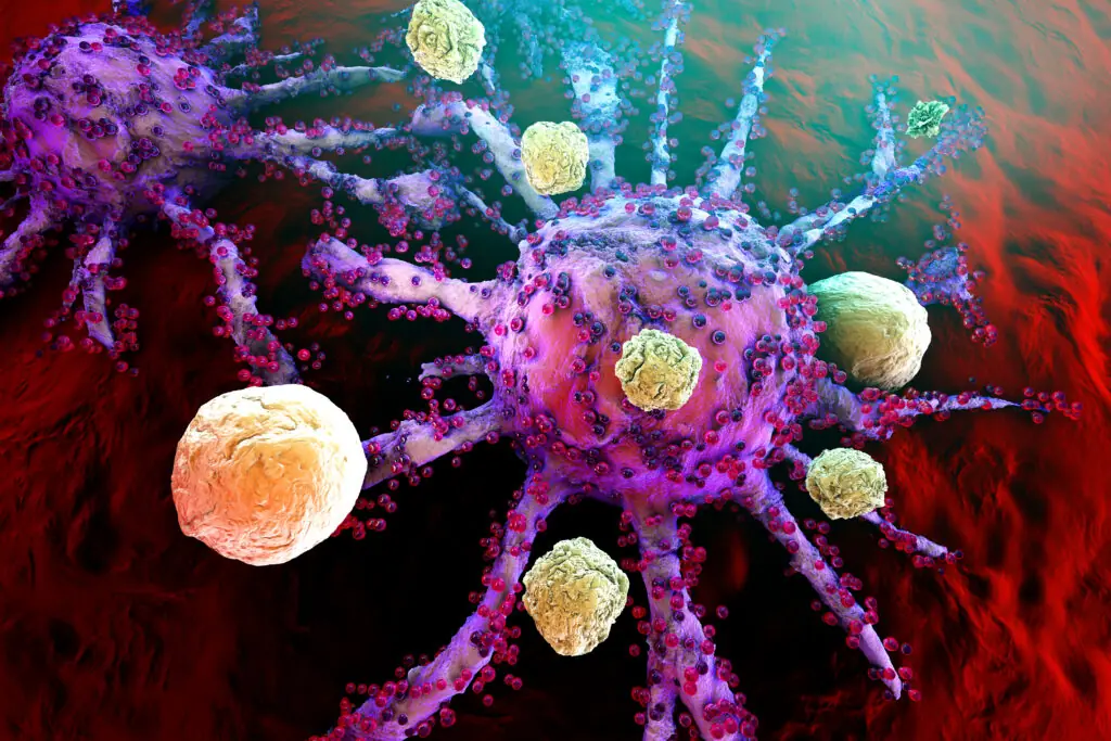 Larger Particles Could Revolutionize C@ncer Treatment: A New Breakthrough in Immunotherapy
