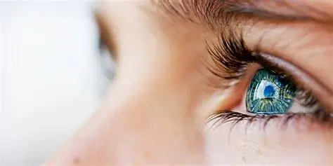 KAIST Develops Breakthrough Retinal Therapy to Restore Lost Vision