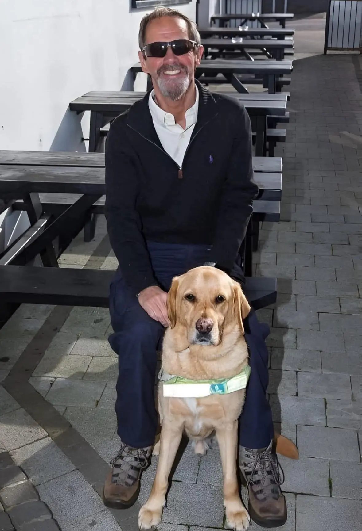 The Pilot and the Seeing Eye Dog: A Hilarious Travel Mix-Up