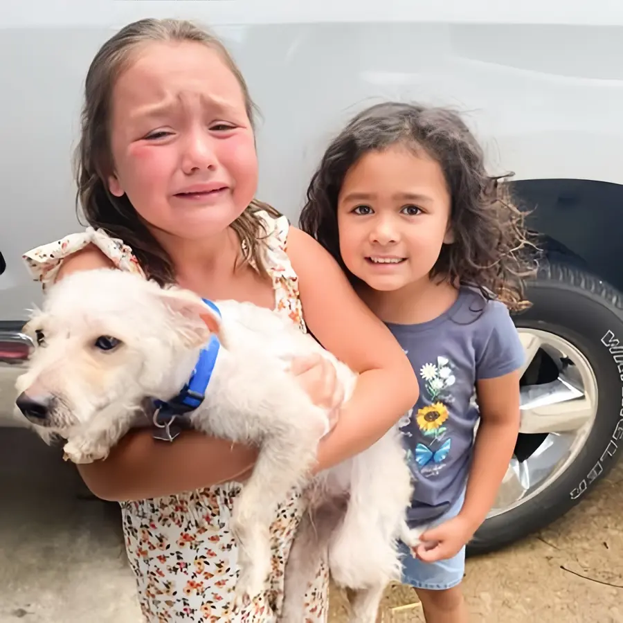 A Joyful Reunion: Emma and Molly the Terrier’s Heartwarming Homecoming