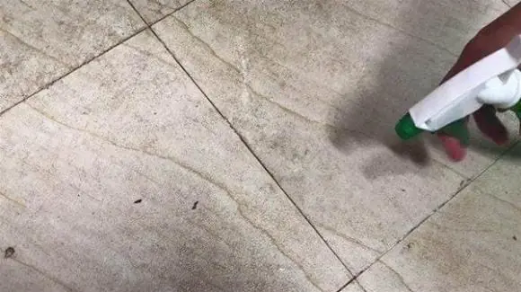 Restore Your Grout Lines with This Easy and Budget-Friendly DIY Cleaning Hack