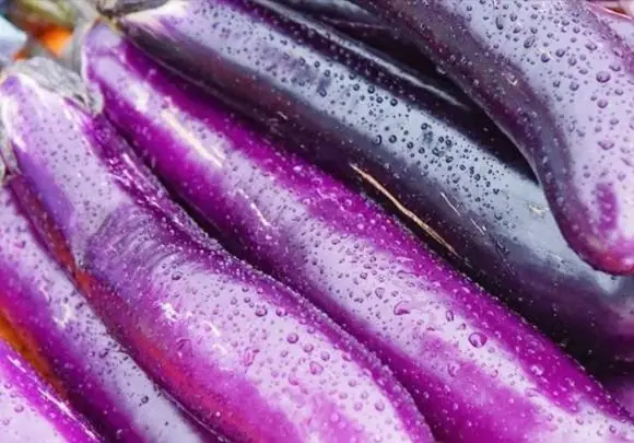 Long vs. Round Eggplants: Which One Should You Choose?