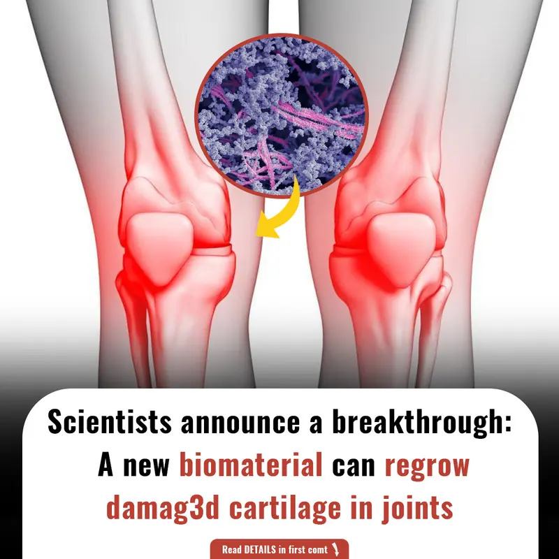 Revolutionary Biomaterial Restores D@m@ged Cartilage in Joints: A Breakthrough in Joint Repair